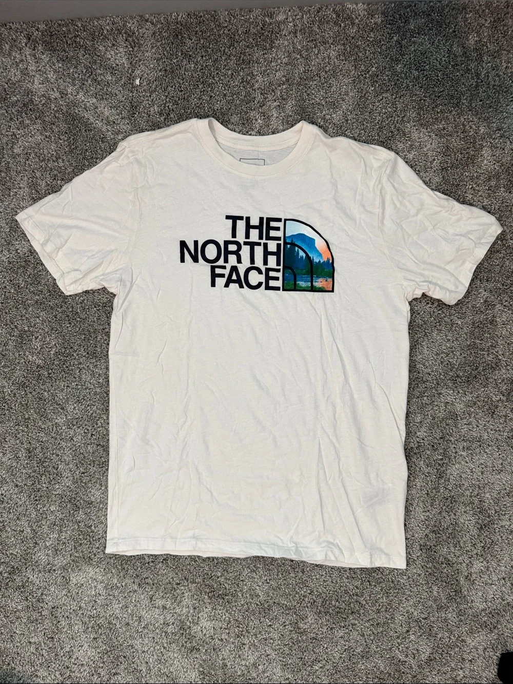 The North Face White Logo Tee with Scenic Graphic